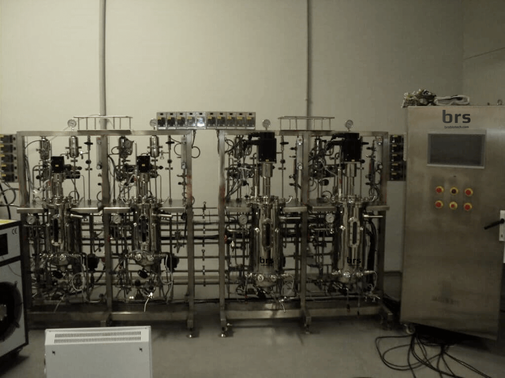 microbiological synthesis