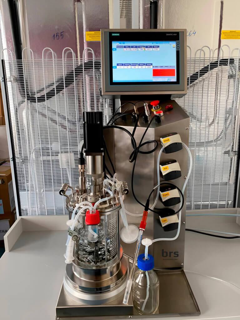 glass bioreactor 3l